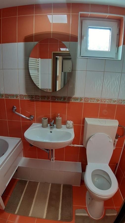 Casa Ultracentral Suceava Villa Esterno foto
